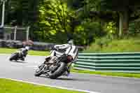 Middle Group Black Bikes